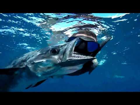 YBS Liquid Cinema Ep 11   Fathom's Below