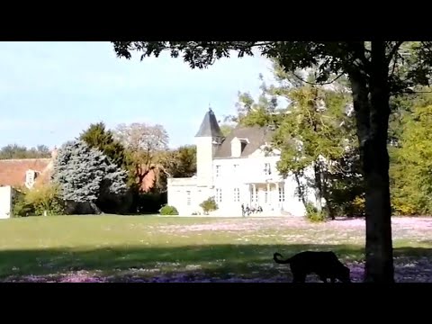 Not Quite a Chateau 16 - Escape to the Chateau -  taking a Gateau - then back home for Market Day