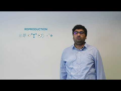 REP-BIOTECH ITN #MeetTheESR Series - ESR4