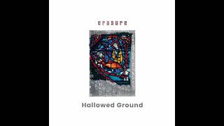erasure - Hallowed Ground (Moog Muse remix)