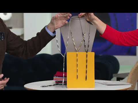Joan Rivers Sculptural Metallic 24" Lariat Necklace w/ 3" Extender on QVC