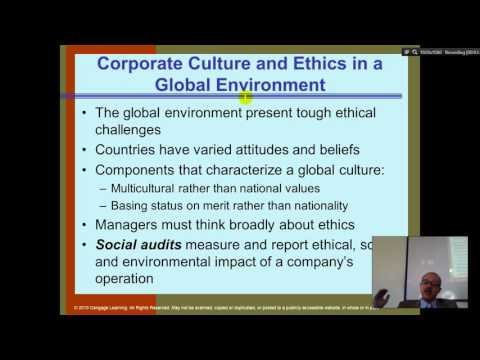 Organization Theory and Design Daft Chapter 1 Part 1 Introduction