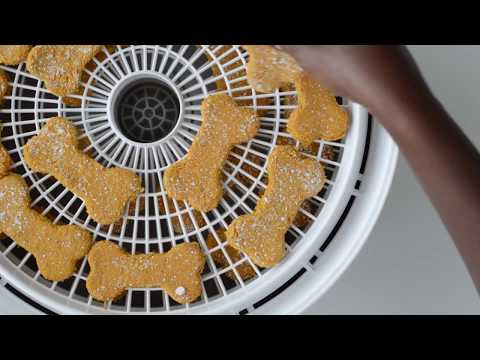 download lagu mp3 mp4 Can Dogs Have Unsweetened Almond Milk, download lagu Can Dogs Have Unsweetened Almond Milk gratis, unduh video klip Can Dogs Have Unsweetened Almond Milk