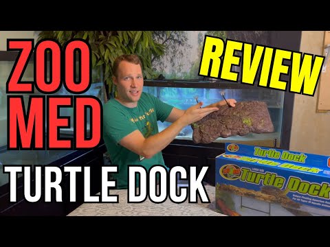 Zoo Med Floating Dock Review - WHY IS THIS IN EVERY STORE?!