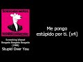 Screeching Weasel - Stupid Over You (Sub. Español)