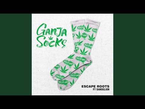 Ganja Socks (Version) (feat. Dandelion)