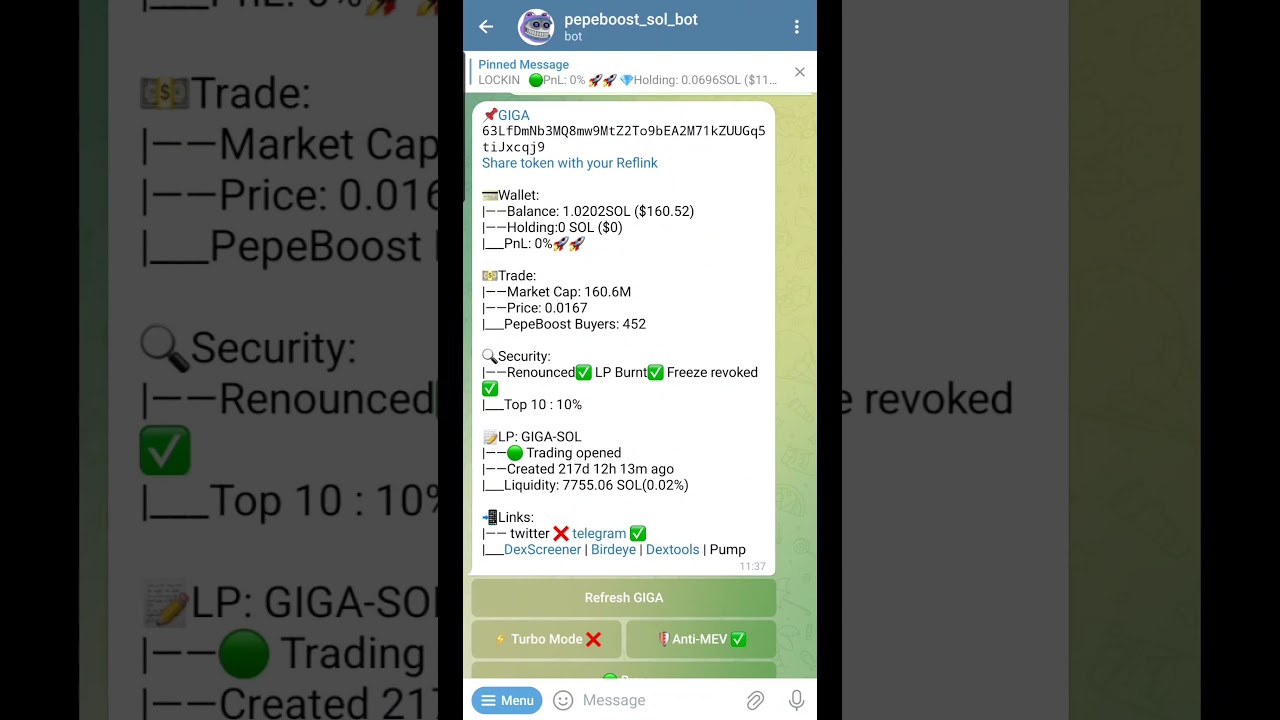 PepeBoost video review - features and pricing overview