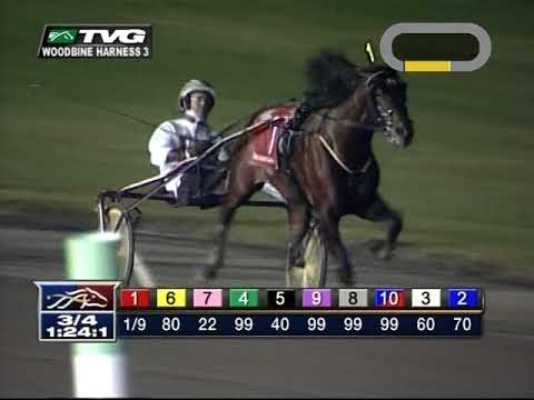 2009 Breeders Crown - Muscle Hill & Brian Sears - Woodbine