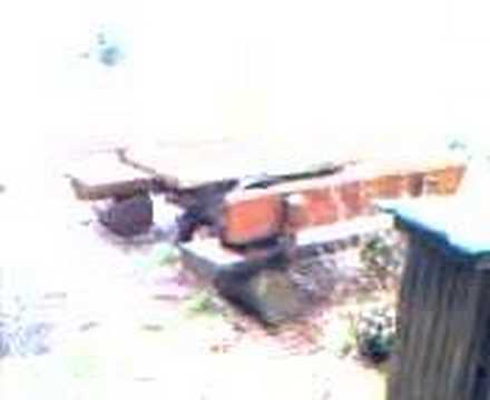 Stempelstelle 165 Wendel-Eiche - Harzer Wandernadel