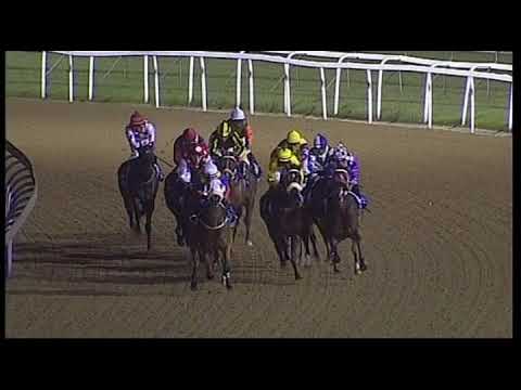 20181214 Greyville express clip Race 8 won by ALPHAMIKEFOXTROT