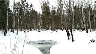 Рыбалка на реке ушайка томск