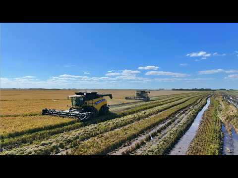 Homenaje del Parlamento en el Día de los Trabajadores - 1 de mayo 2026, Parlamento del Uruguay