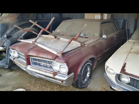 Hoard of Rusting Muscle Cars in North Carolina - The Auto Archaeologist