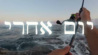 דייג 2025 אקשן על הבלאק מינו חיתוך ותפיסה וגם סרגוס על איימה סוקארי black minnow ima sukari 37s deep