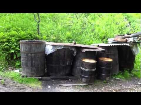 Palincaria Cristiorul de Sus