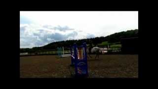 preview picture of video 'Tilly - Connemara cross Thoroughbred show jumping'