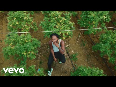 Nicko Blast - Gain From Strain (Official Video)