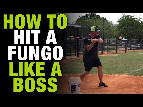 download lagu mp3 mp4 Fungo Bat, download lagu Fungo Bat gratis, unduh video klip Fungo Bat