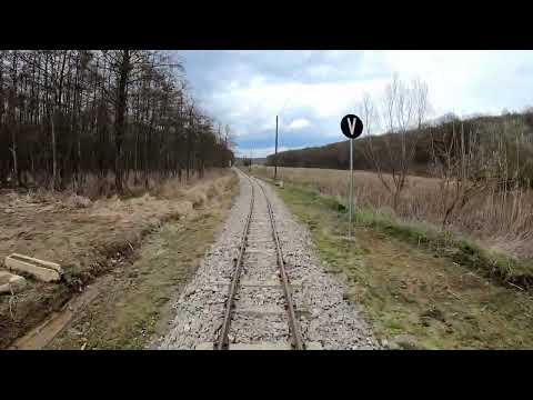 Zselici csühögő (Nr. 308) Almamellék - Sasrét 2023