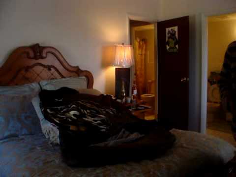 YOUNG SHANK GETTIN READY FOR HIS DAY