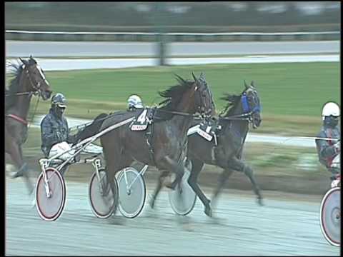 Trotto 03/01/2017 - 2ª corsa