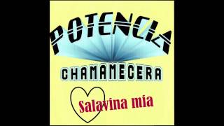 Video thumbnail of "POTENCIA CHAMAMECERA - Vida de mi vida (LO NUEVO 2015)"