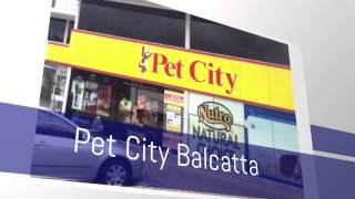 preview picture of video 'Pet City Balcatta Intro'