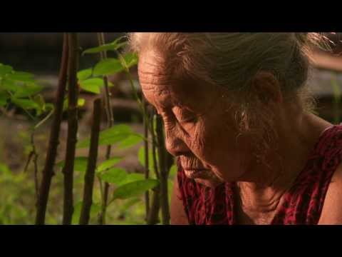 THE LOOK OF SILENCE [Clip] "Chopping" - In theaters this summer