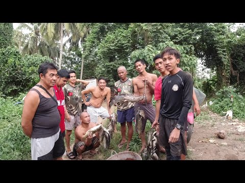 P3 - GINAMITAN ng KAMAY na BAKAL para MASALIPOT ang AFRICAN at KARPA   [Reload]