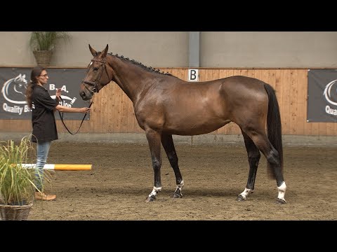 SIENNA VAN'T MALSENHOF