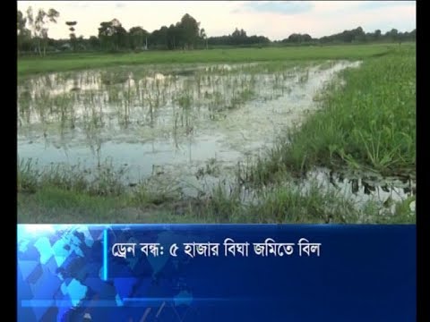 ড্রেন বন্ধ, ৫ হাজার বিঘা জমিতে বিল