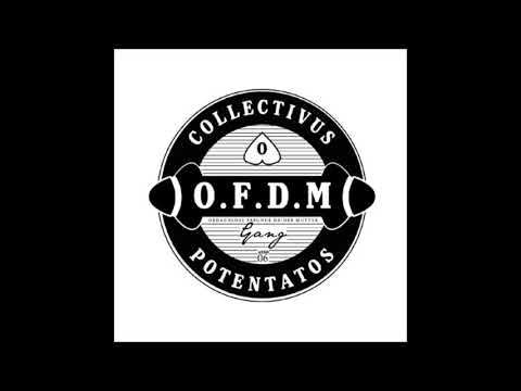 FreshFace - Reismeister (feat. Jay Spaten)