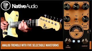 Video thumbnail for NativeAudio Rising Sun Tremolo by Mike Hermans