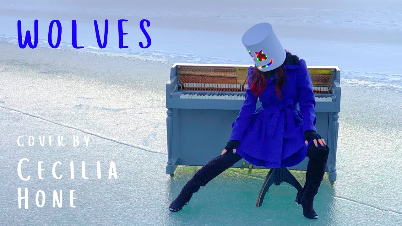Promotional video thumbnail 4 for Cecilia Hone