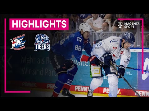 Adler Mannheim - Straubing Tigers | PENNY DEL | MAGENTA SPORT