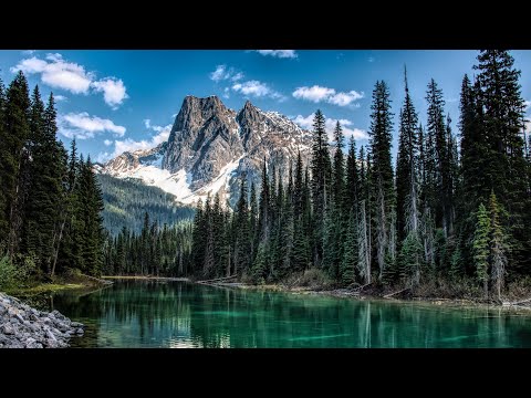 Beautiful Relaxing Music For Sleep | Calming Music | Meditation, Sleep