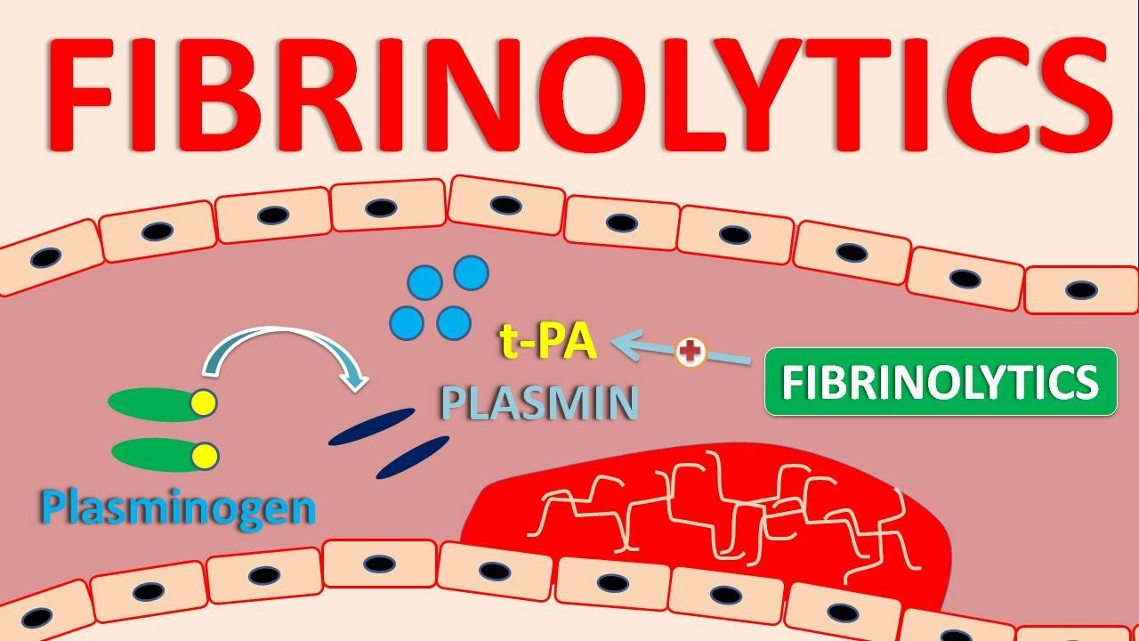 Fibrinolytics  || Tissue plasminogen activators