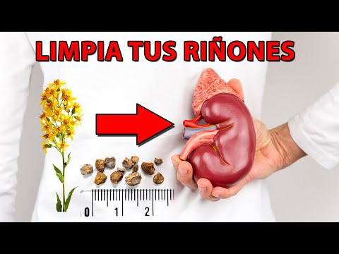 Limpia tus riñones y Expulsa hasta la última piedra con estas 9 hierbas naturales