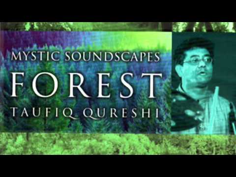 Taufiq Qureshi - The Hunt