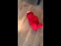 New York Elmo