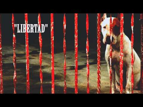 Ibsen & Flersy (Soires Naes)-Libertad