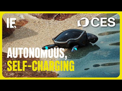 RoboTurtle Review Video 2