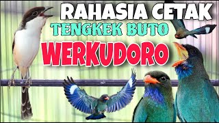 Download lagu MASTERAN CENDET JUARA TENGKEK BUTO WERKUDORO  RAHASIA CETAK CENDET MATERI MEWAH mp3 Download lagu MASTERAN CENDET JUARA TENGKEK BUTO WERKUDORO  RAHASIA CETAK CENDET MATERI MEWAH mp3