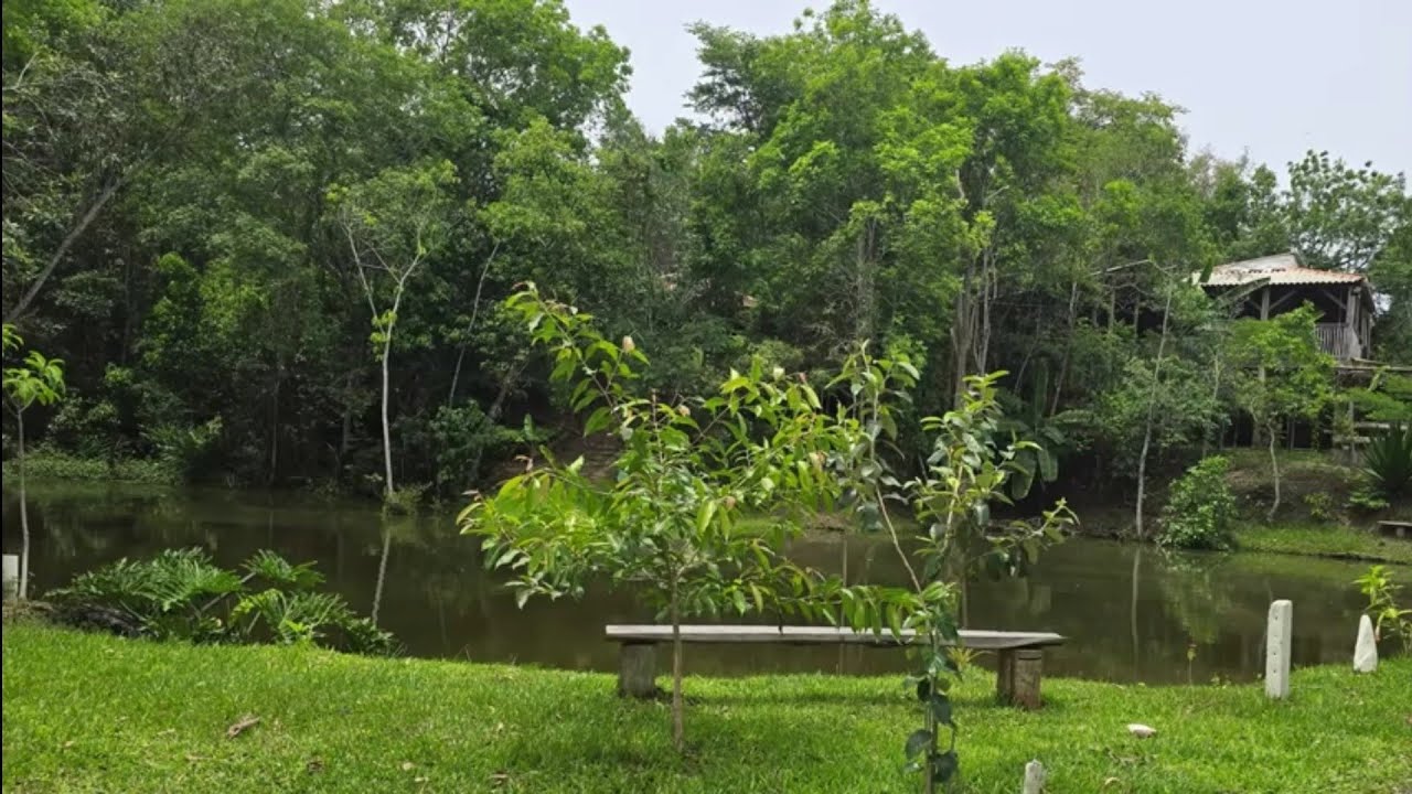 ®CHÁCARA PESQUEIRO FUNDO DA GROTA COM CASAS AÇUDES FRUTAS-Cód-2473- RECORDAÇÕES SERGIO HENRIQUE