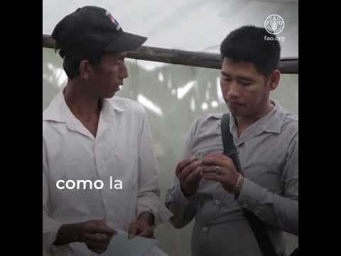 Mitigar el impacto de las desastres con medidas de anticipación y protección social