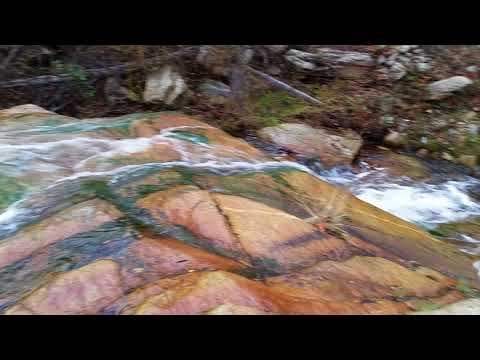 Flowing Creek on Mt. Graham