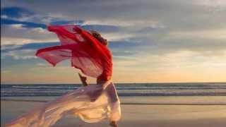 Schiller   Weltreise   Destiny