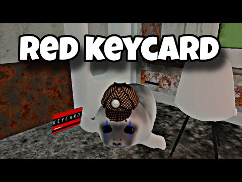 Cómo conseguir la tarjeta roja en "Sé un Sello Tonto" de Roblox | Tarjeta