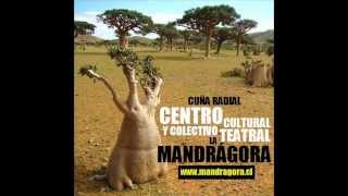 preview picture of video 'Cuña Radial - Centro Cultural y Colectivo Teatral La Mandrágora'