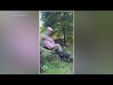 A French singer and guitar player, connect with animals by playing music - YouTube